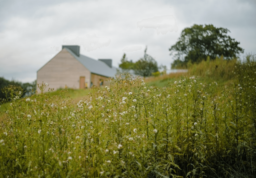 Wildflowers bloom at the Inness Wedding Barn. 